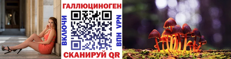 дарк нет состав купить сайты Полысаево Псилоцибиновые грибы GOLDEN TEACHER
