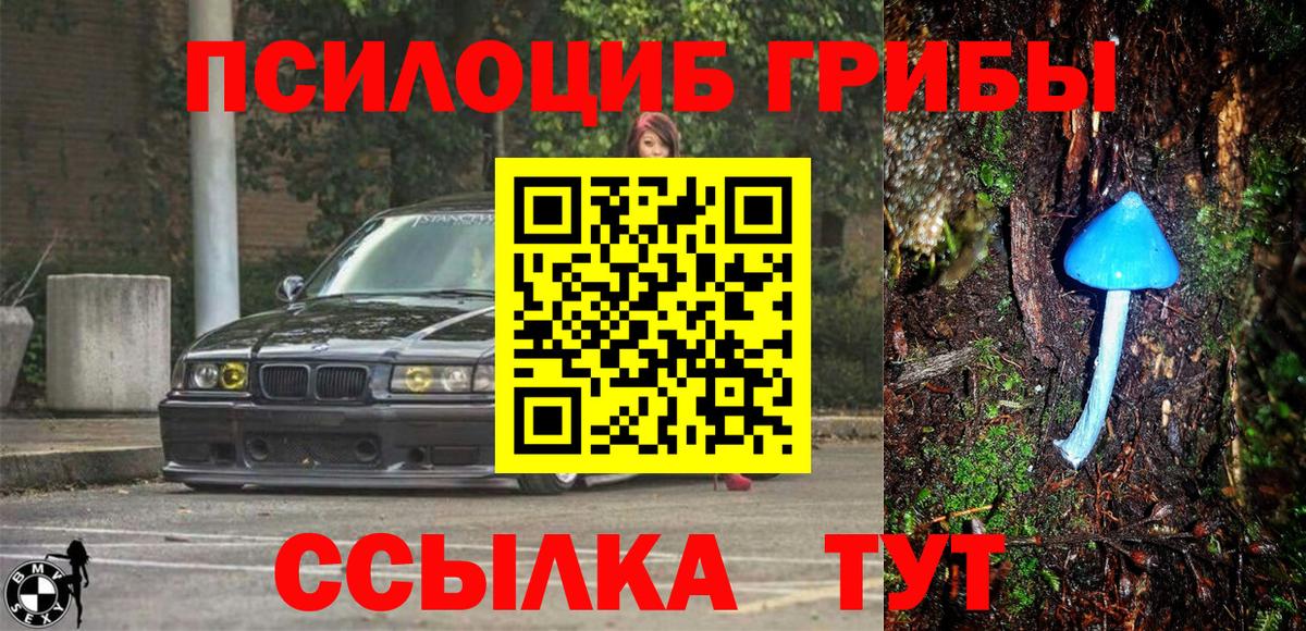 Полысаево  Галлюциногенные грибы Psilocybine cubensis  Вход с VPN 